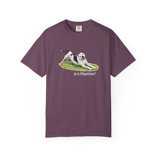 Is it Playtime? Pittie Tee