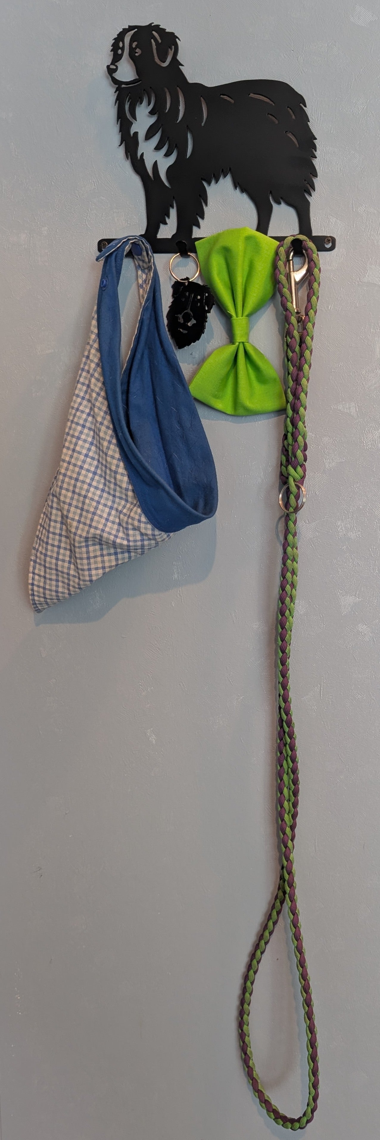 Aussie Small Key & Leash Organizer