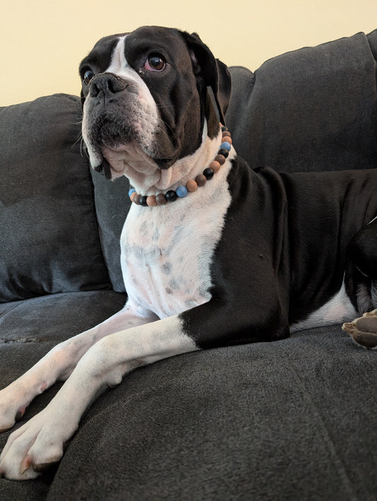 Beaded "Brown & Blue" Dog Necklace