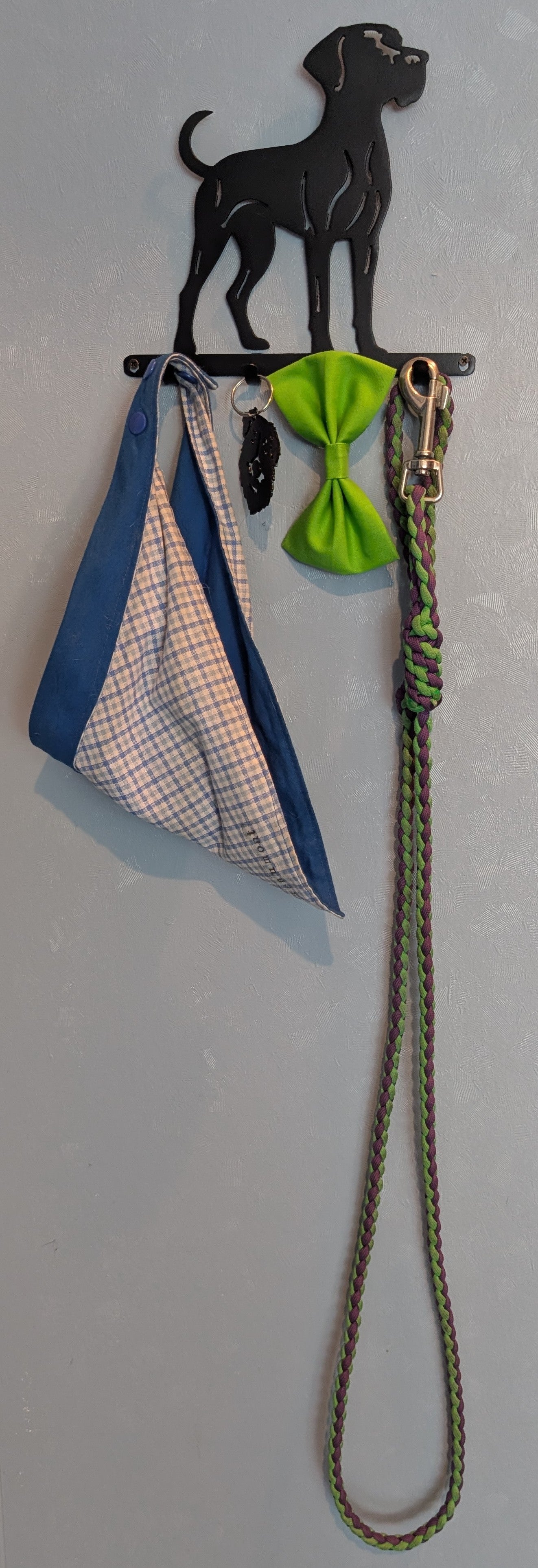 Great Dane Small Key & Leash Organizer