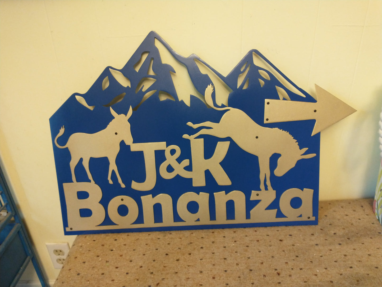 Custom Airbnb or Driveway Sign – Personalized Directional Metal Signage