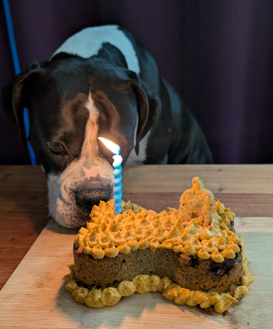 PB Berry PupCake for Birthdays or Gotcha Days - Grain-Free - Peanut Butter, Pumpkin & Blueberry Cake - CANNOT BE SHIPPED