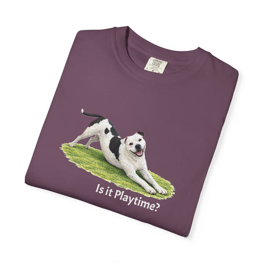 Is it Playtime? Pittie Tee