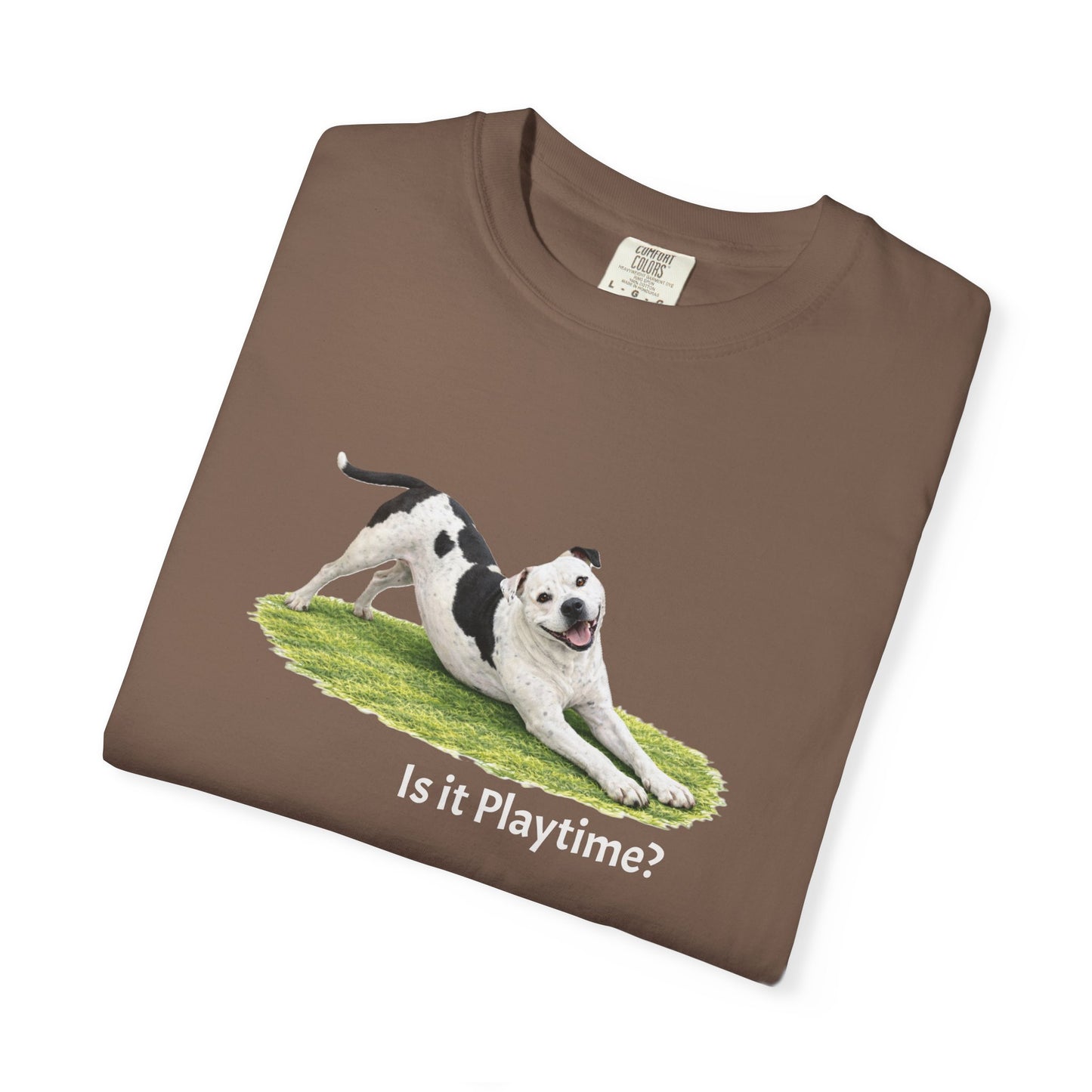 Is it Playtime? Pittie Tee