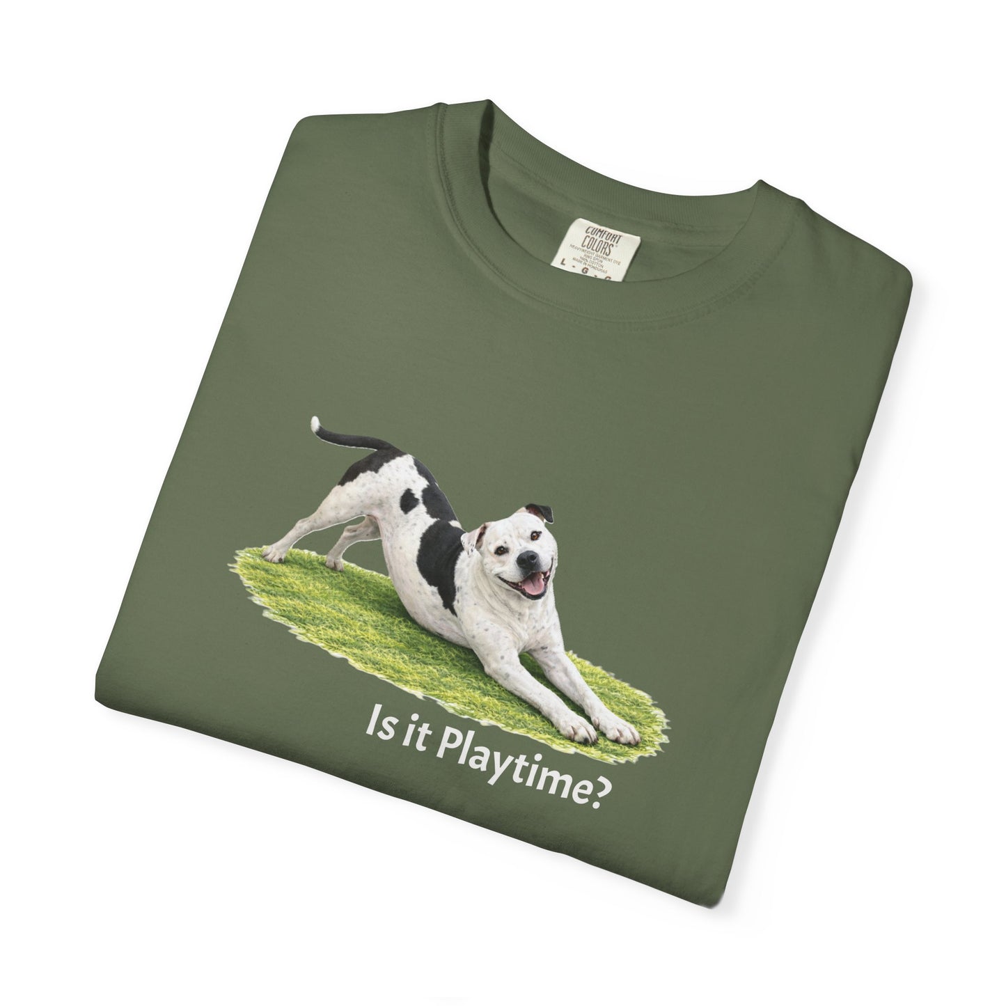 Is it Playtime? Pittie Tee