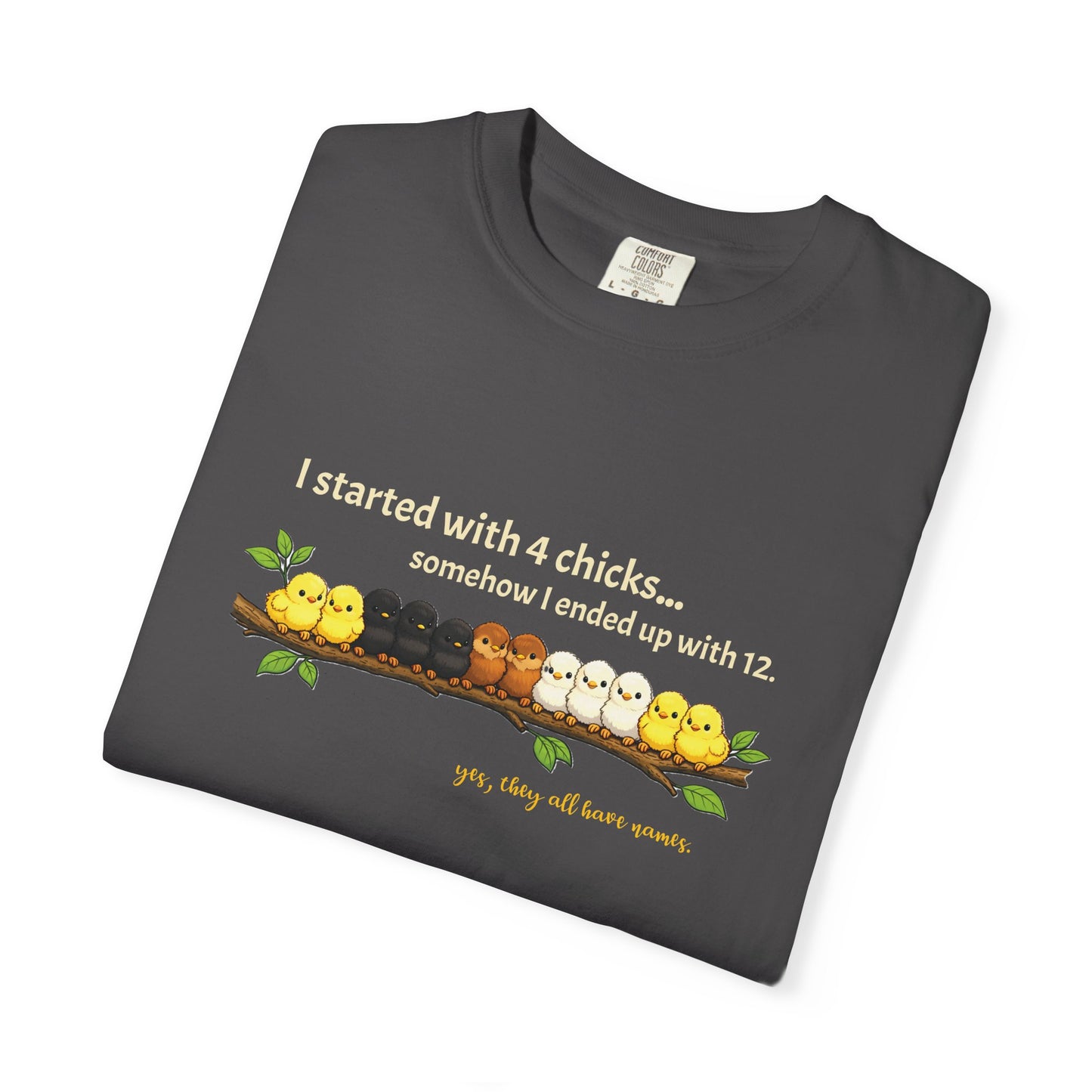 Chicken Math – I Started With 4 Chicks Tee