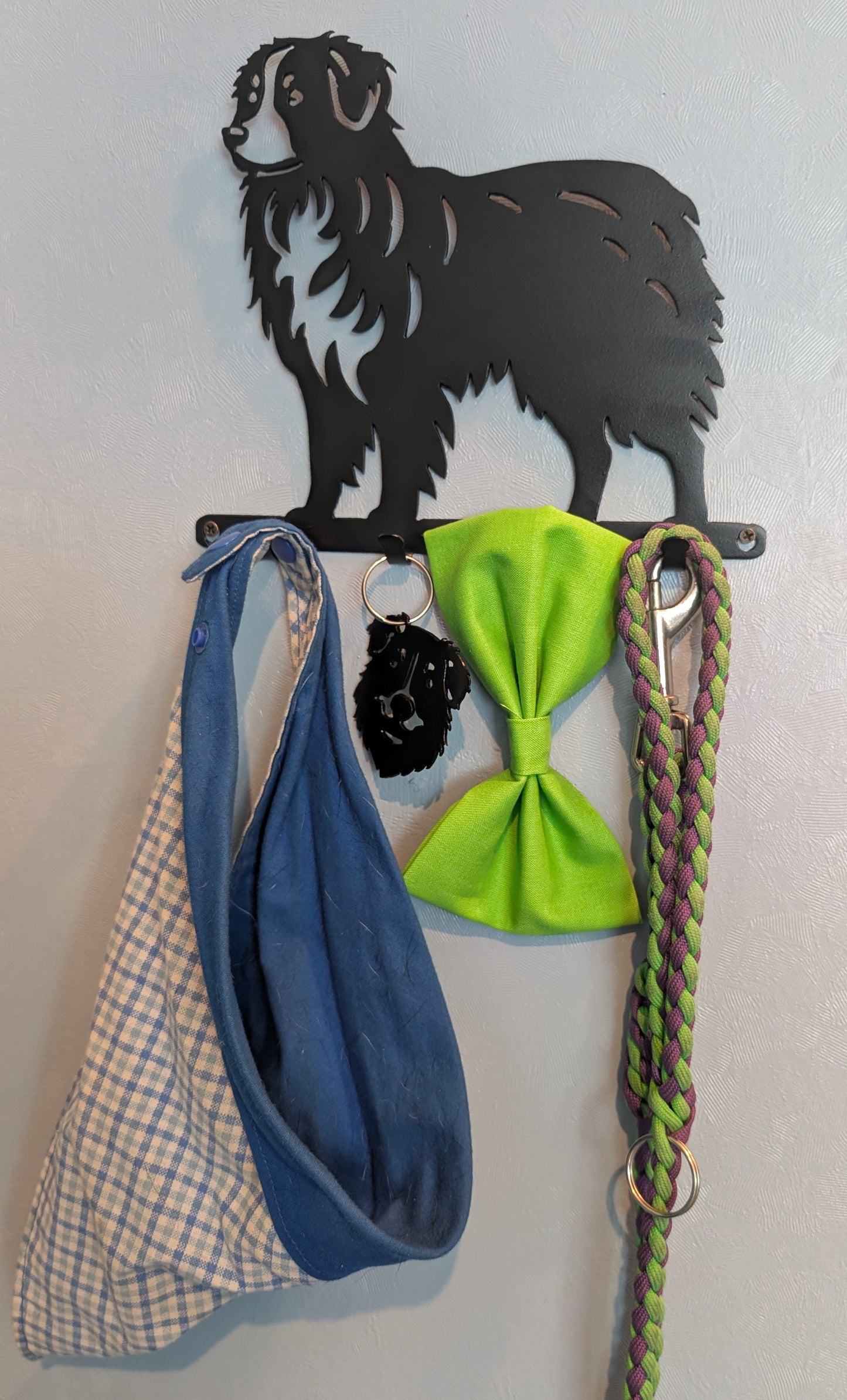 Aussie Small Key & Leash Organizer