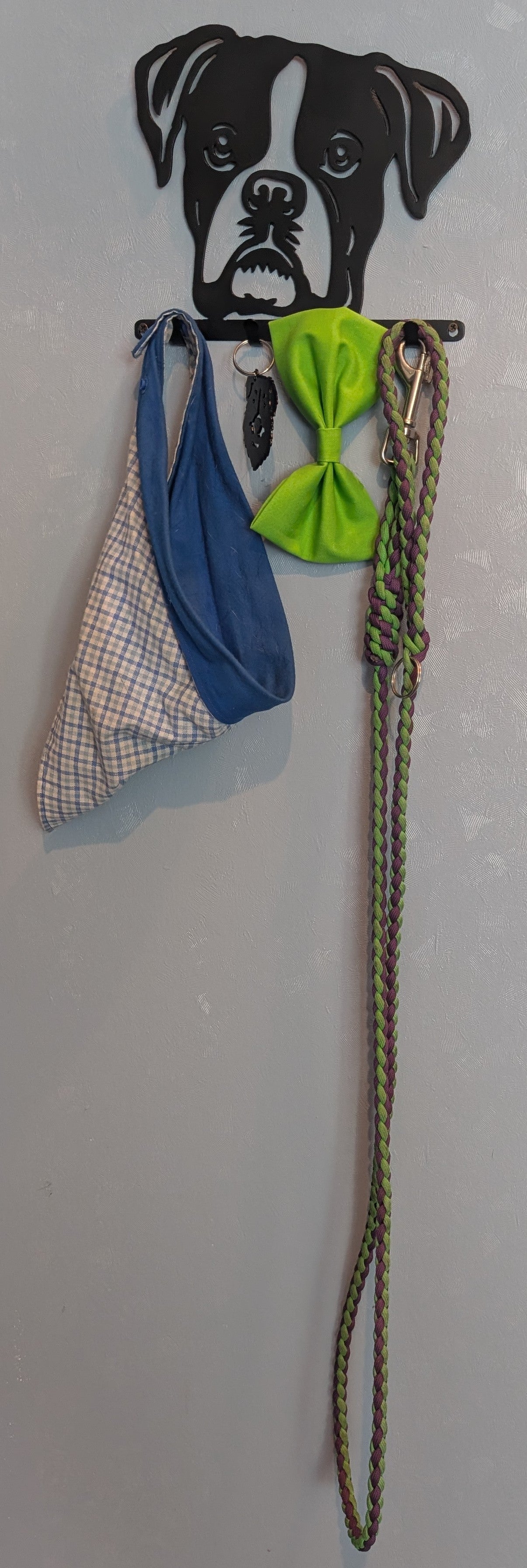 Boxer Small Key & Leash Organizer