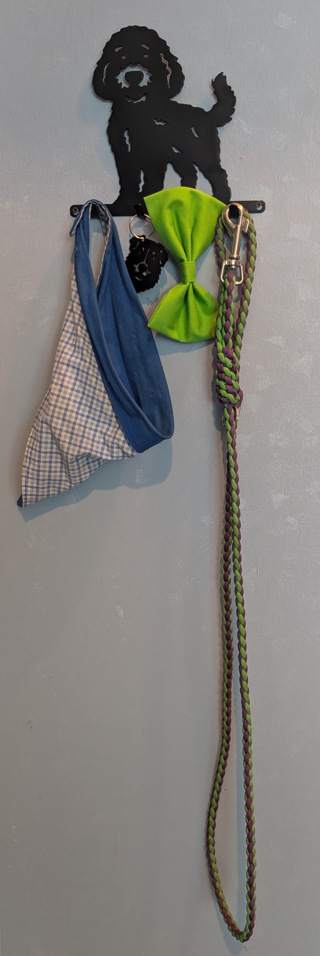 Doodle Small Key & Leash Organizer