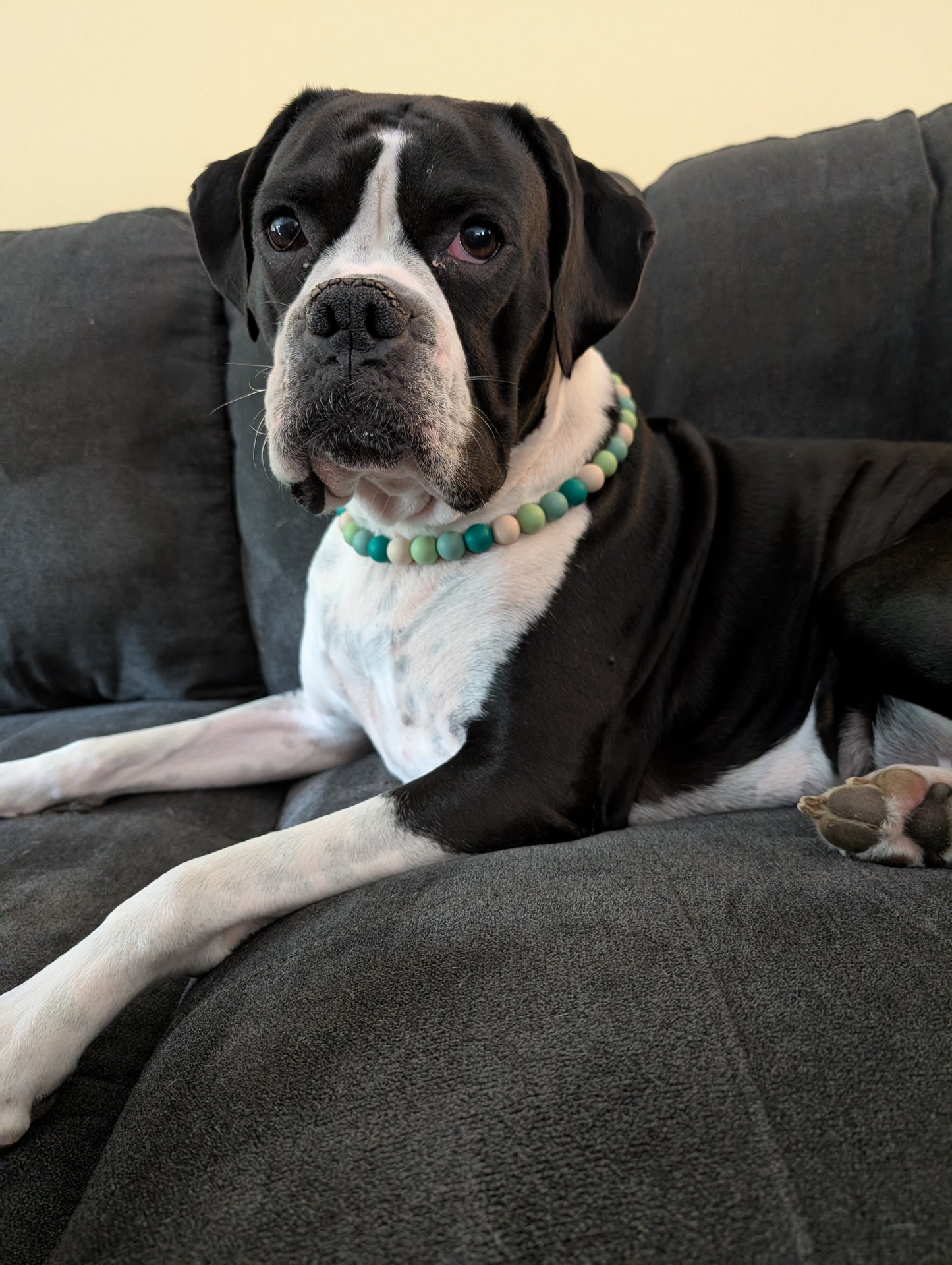 Beaded "Greens" Dog Necklace
