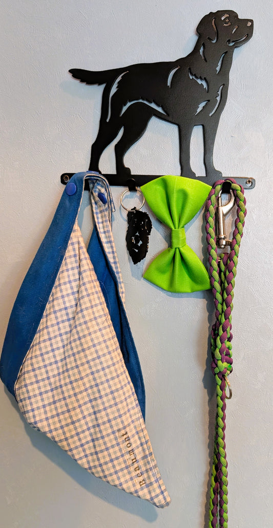 Labrador Retriever Small Key & Leash Organizer