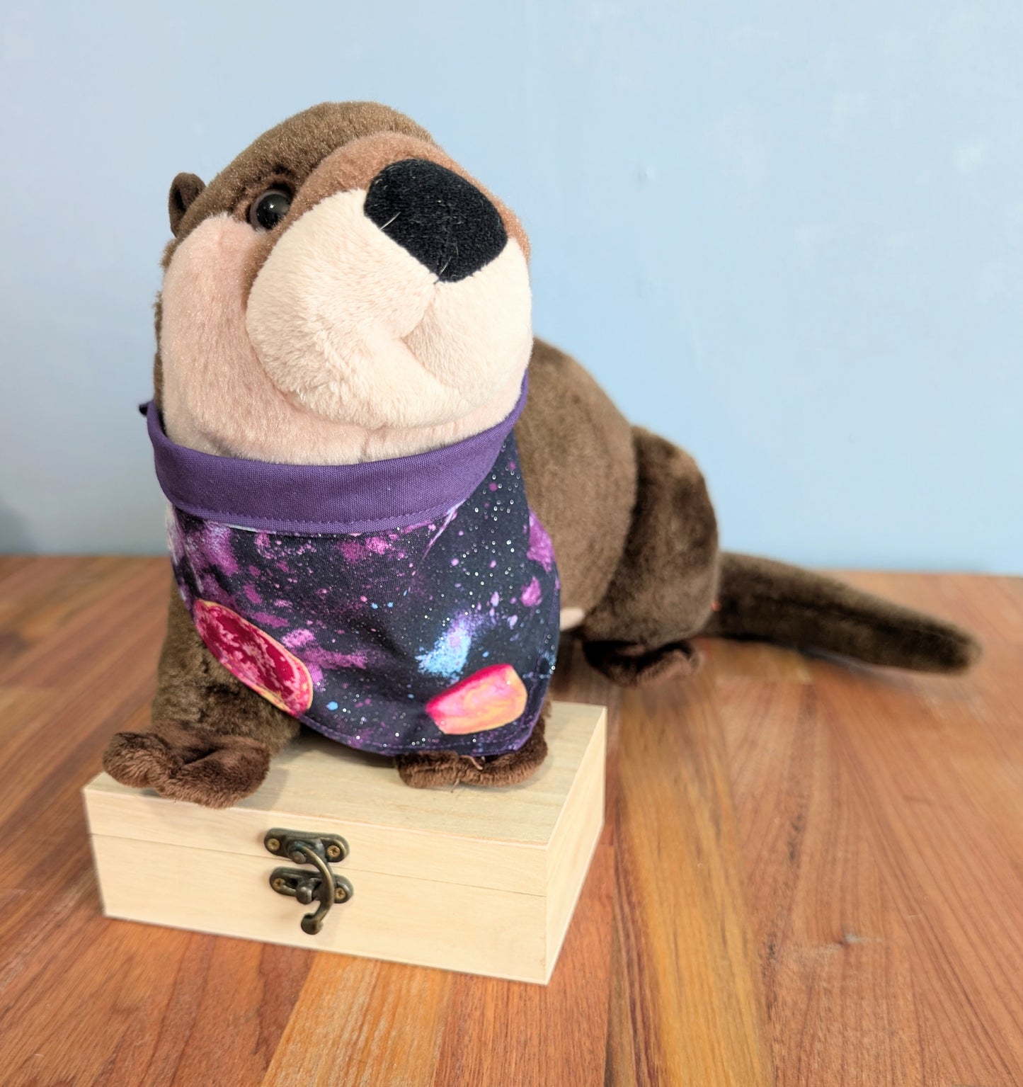 Galaxy Bandana - Reversable