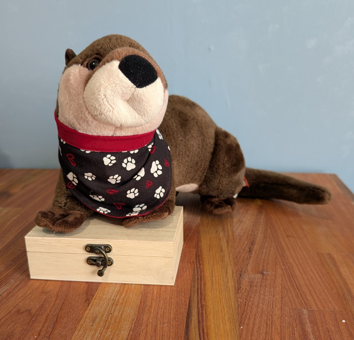 Paw Print Bandana - Reversable
