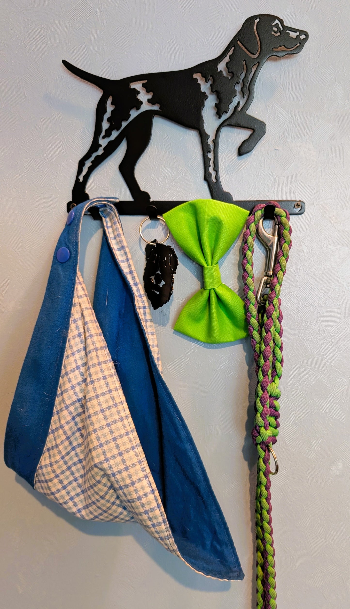 Pointer Small Key & Leash Organizer
