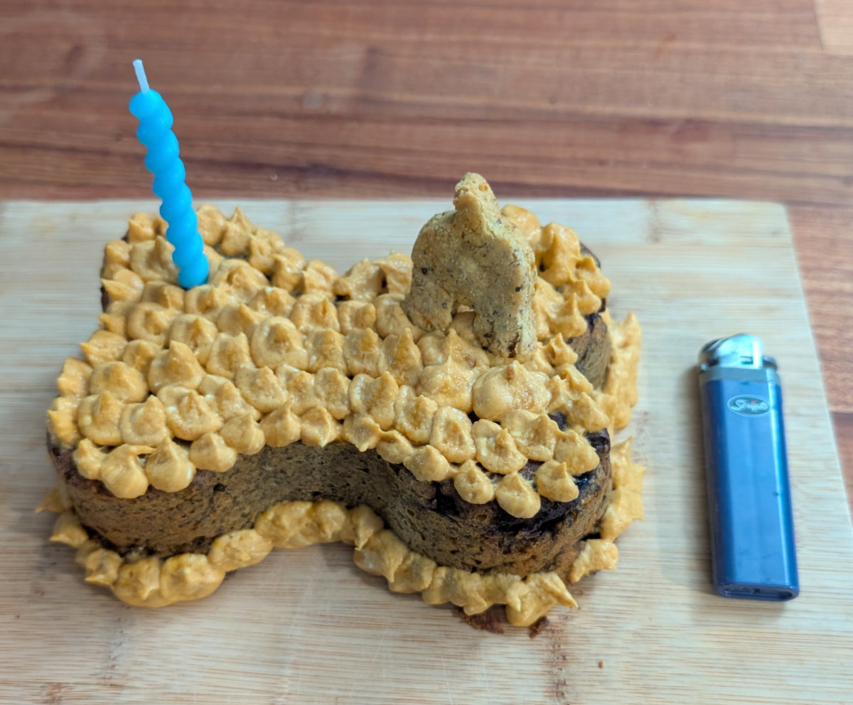 PB Berry PupCake for Birthdays or Gotcha Days - Grain-Free - Peanut Butter, Pumpkin & Blueberry Cake - CANNOT BE SHIPPED